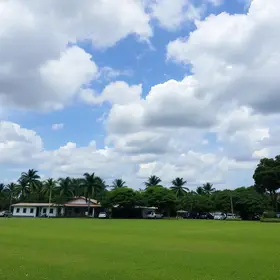 feriado 9 de julho